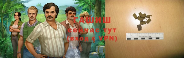 гашик Вязьма