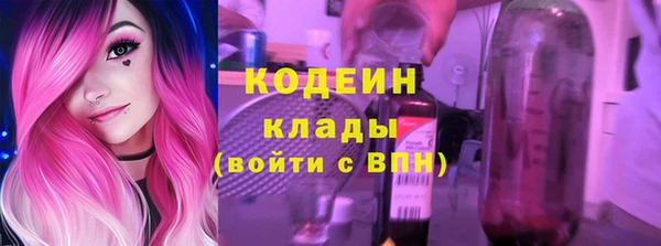 МДПВ Вяземский