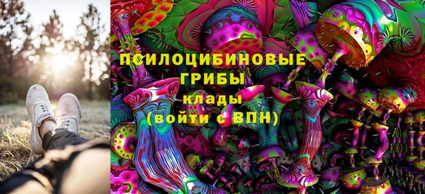 МДПВ Вяземский